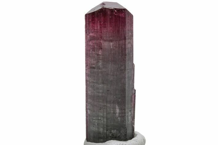 Bicolor Elbaite Tourmaline Crystal - Cruzeiro Murta, Brazil #217181